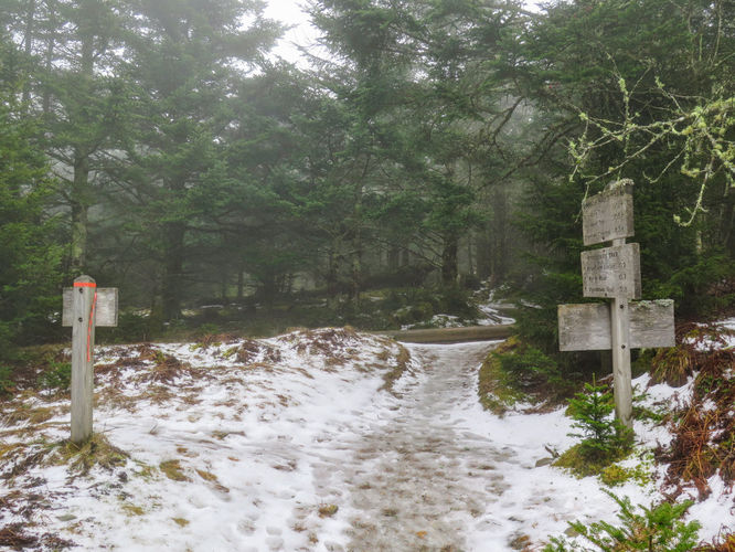 Picture 24 of Mount LeConte via Alum Cave Trail