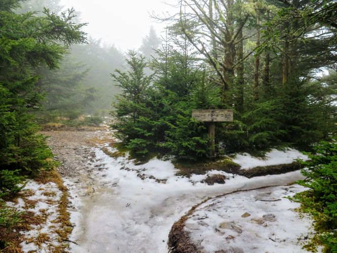 Picture 22 of Mount LeConte via Alum Cave Trail