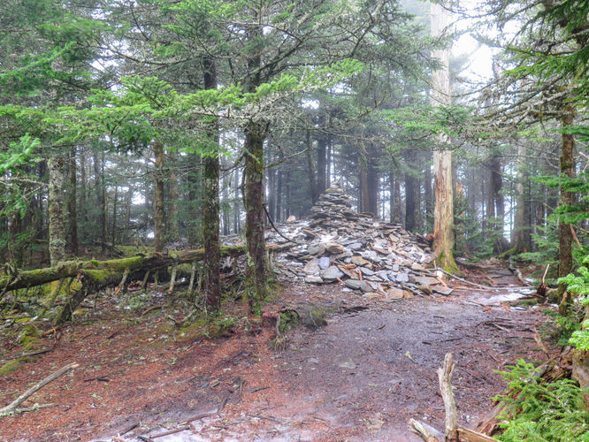 Picture 20 of Mount LeConte via Alum Cave Trail