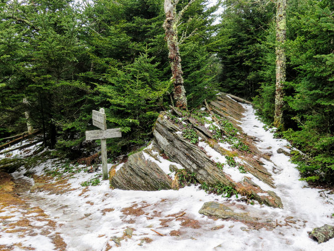 Picture 19 of Mount LeConte via Alum Cave Trail