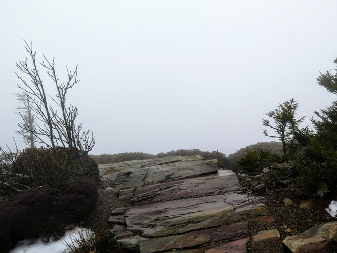 Picture 18 of Mount LeConte via Alum Cave Trail