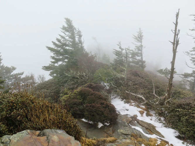 Picture 17 of Mount LeConte via Alum Cave Trail