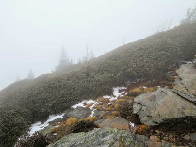 Picture 16 of Mount LeConte via Alum Cave Trail