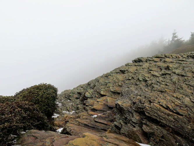 Picture 14 of Mount LeConte via Alum Cave Trail