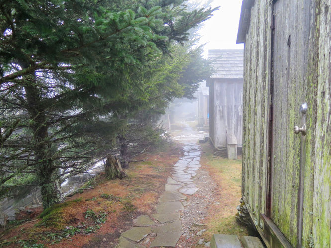 Picture 12 of Mount LeConte via Alum Cave Trail