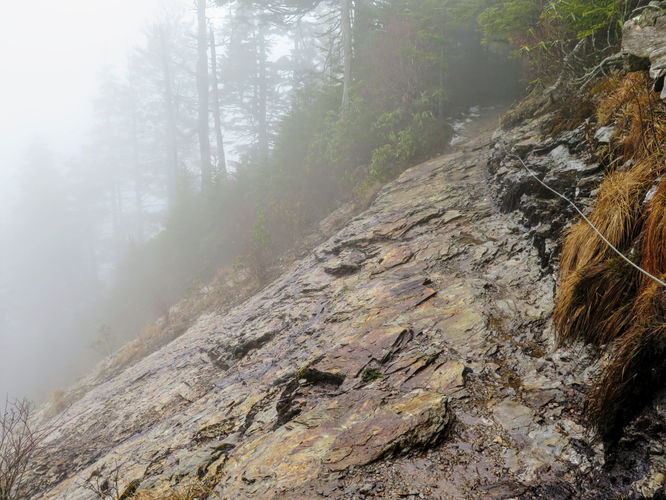 Picture 10 of Mount LeConte via Alum Cave Trail