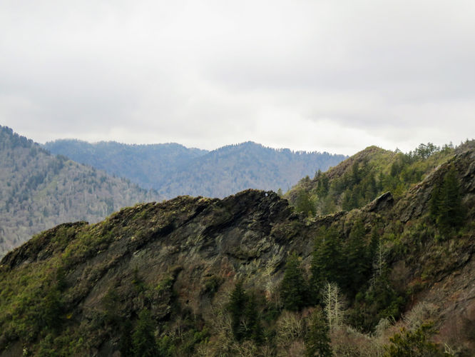 Picture 9 of Mount LeConte via Alum Cave Trail