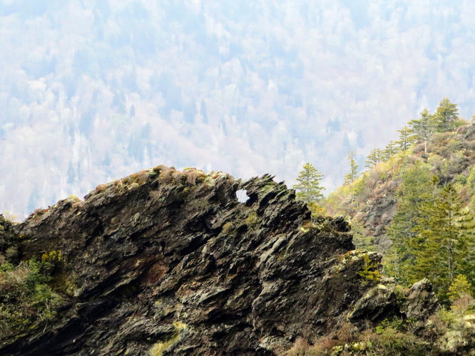 Picture 8 of Mount LeConte via Alum Cave Trail
