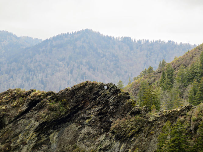 Picture 7 of Mount LeConte via Alum Cave Trail