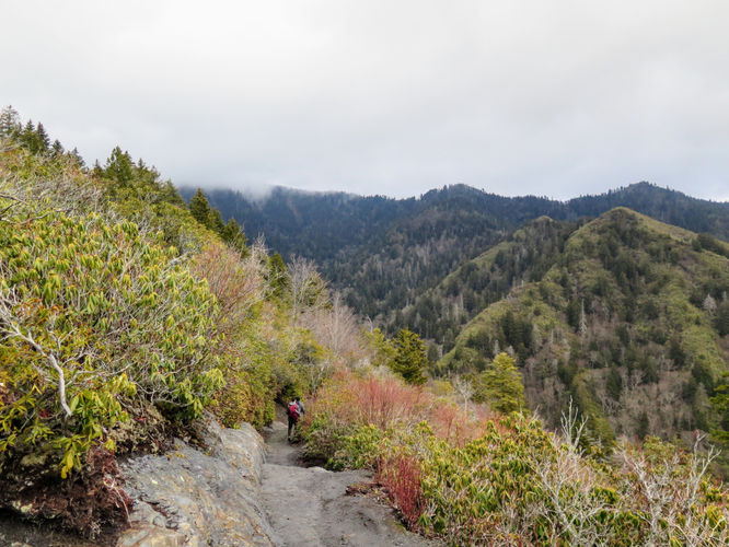 Picture 5 of Mount LeConte via Alum Cave Trail