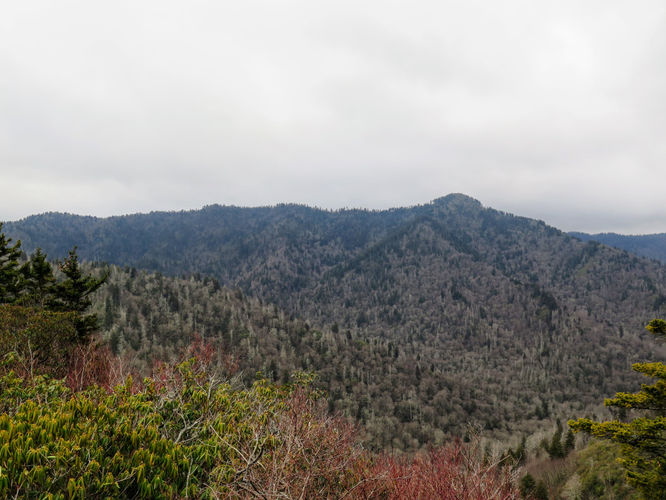 Picture 4 of Mount LeConte via Alum Cave Trail