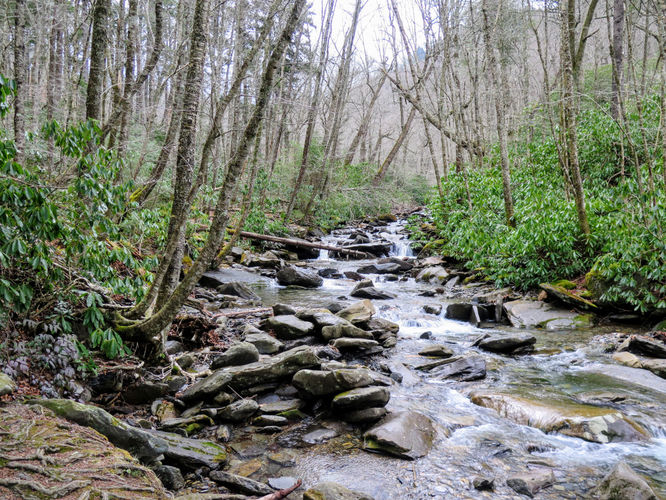Picture 3 of Mount LeConte via Alum Cave Trail