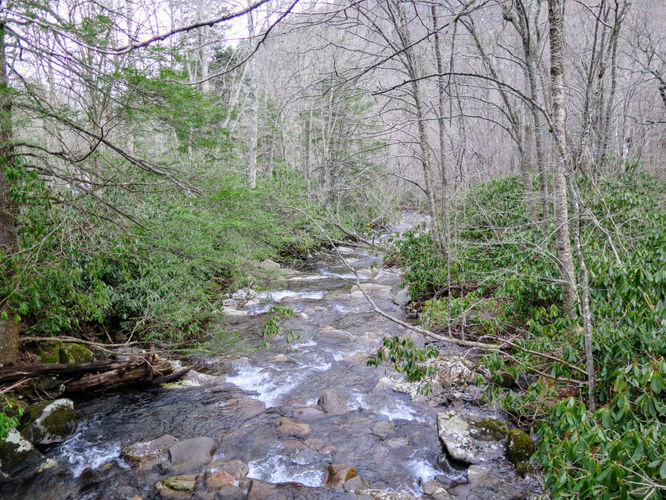 Picture 2 of Mount LeConte via Alum Cave Trail