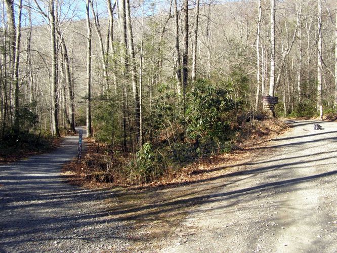 Picture 6 of Mount Mitchell Trail 011715