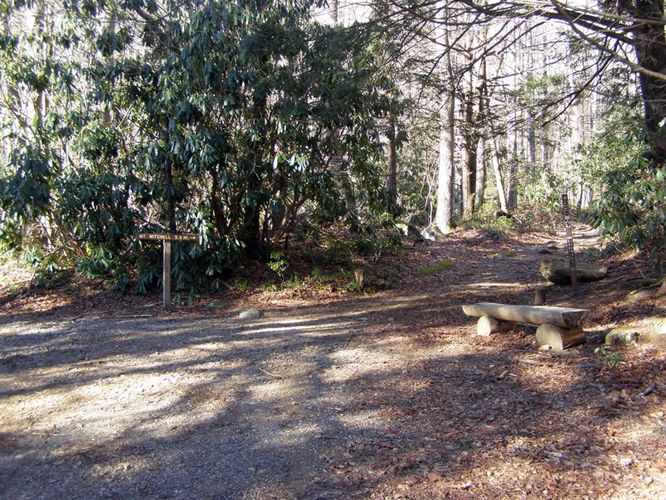 Picture 7 of Mount Mitchell Trail 011715