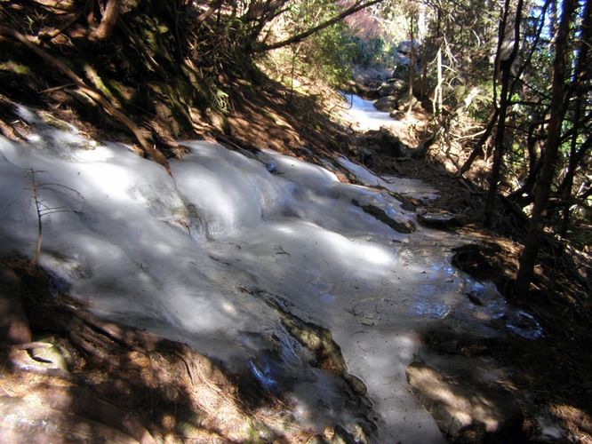 Picture 15 of Mount Mitchell Trail 011715
