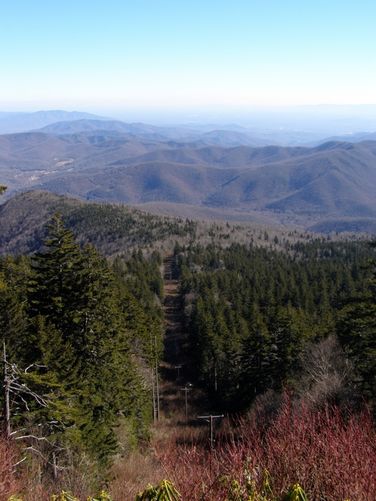 Picture 17 of Mount Mitchell Trail 011715