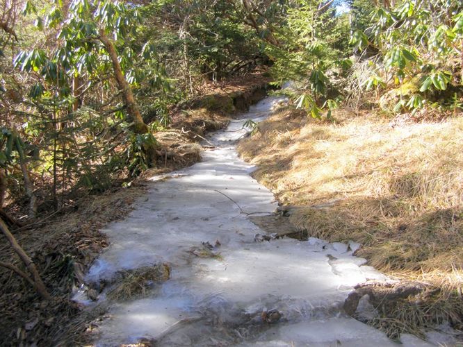 Picture 18 of Mount Mitchell Trail 011715