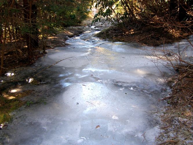 Picture 19 of Mount Mitchell Trail 011715