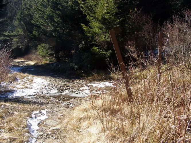 Picture 20 of Mount Mitchell Trail 011715