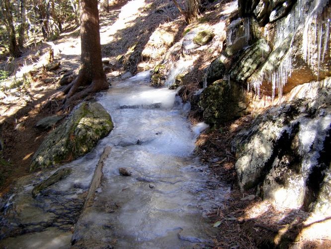 Picture 22 of Mount Mitchell Trail 011715