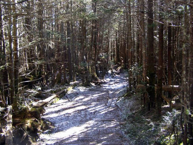 Picture 27 of Mount Mitchell Trail 011715