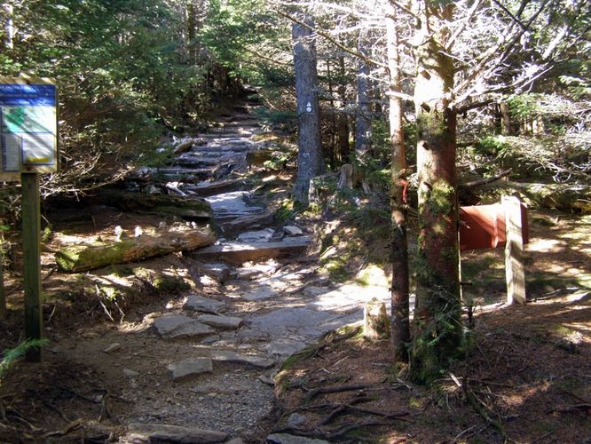 Picture 28 of Mount Mitchell Trail 011715