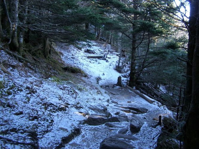 Picture 29 of Mount Mitchell Trail 011715