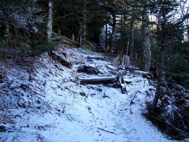 Picture 30 of Mount Mitchell Trail 011715
