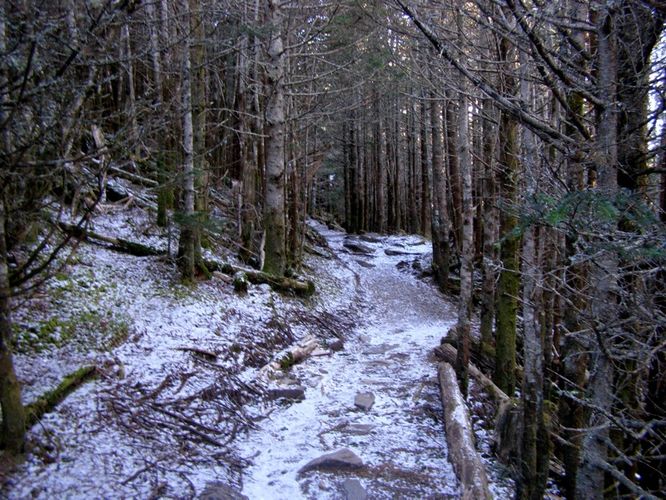 Picture 32 of Mount Mitchell Trail 011715