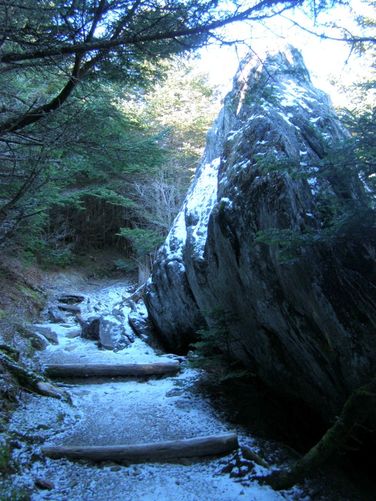 Picture 33 of Mount Mitchell Trail 011715