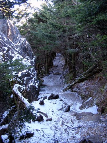 Picture 34 of Mount Mitchell Trail 011715