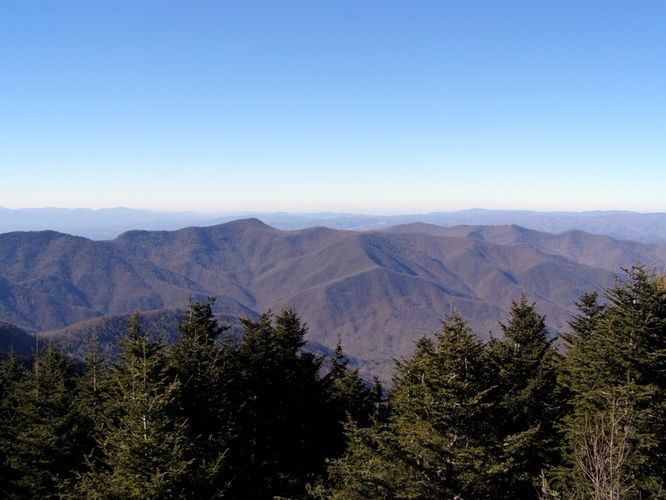 Picture 45 of Mount Mitchell Trail 011715