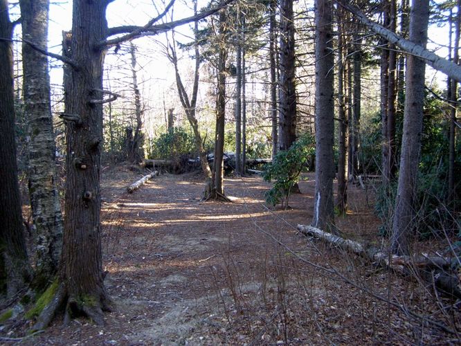 Picture 55 of Mount Mitchell Trail 011715