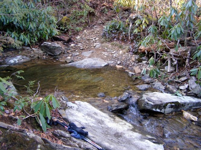 Picture 56 of Mount Mitchell Trail 011715