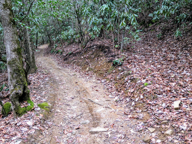Picture 11 of Mount Noble Lookout Tower Hike 121717