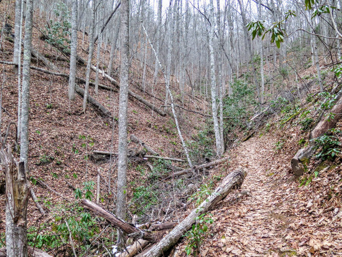 Picture 37 of Mount Noble Lookout Tower Hike 121717