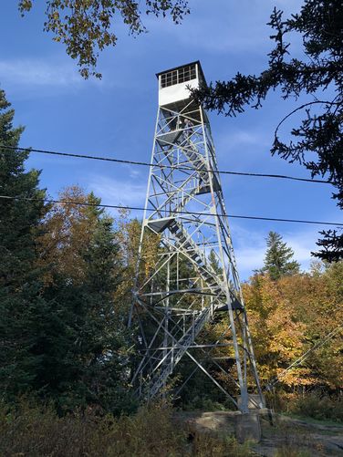 Mount Olga Fire Tower - Mount Olga album