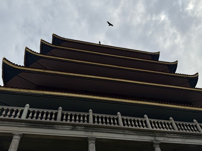 Bird flying over the Mount Penn Pagoda, as seen from below the building