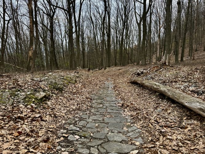 Stones inlayed in the Mount Penn Pagoda Trail