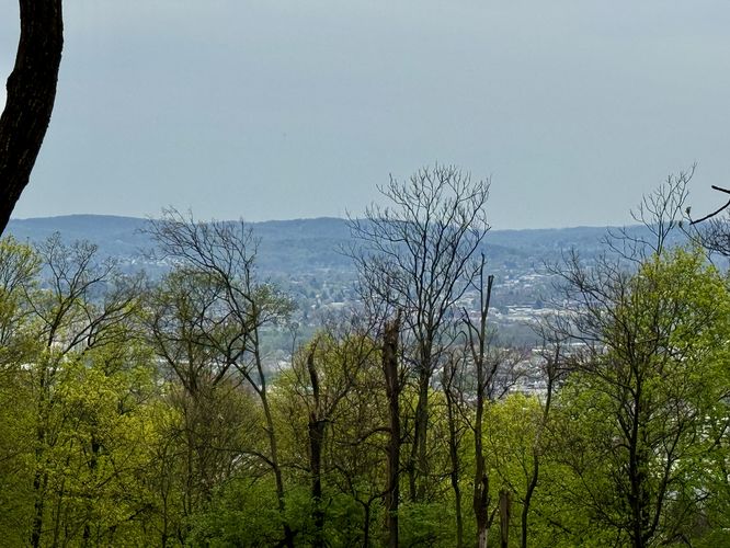 Obstructed view of Reading, PA from the trail