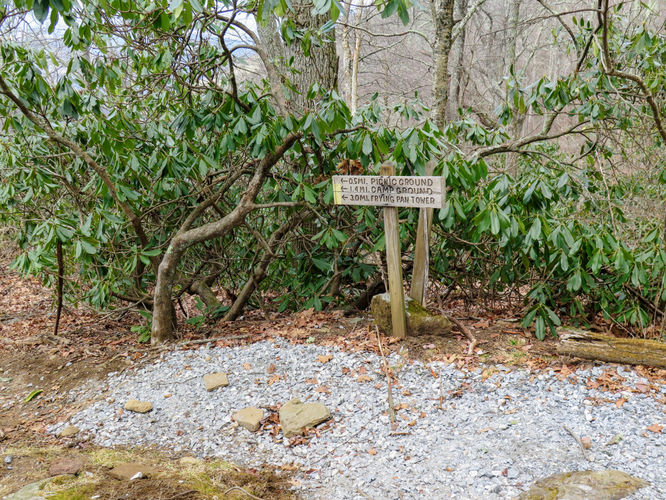 Picture 12 of Mount Pisgah Hike 021217
