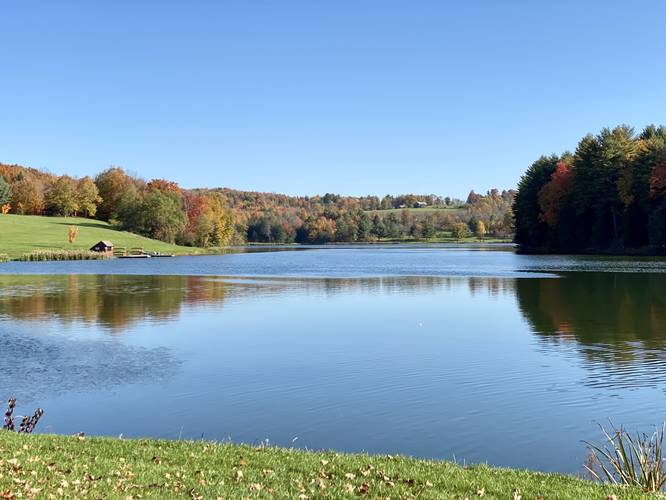 Stephen Foster Lake with foliage