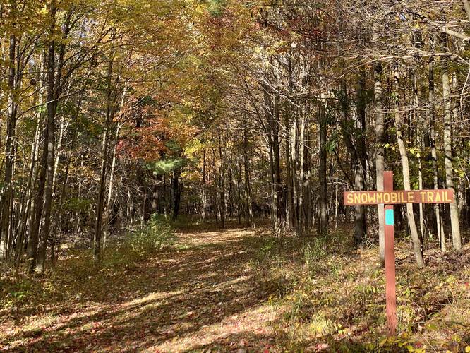 Follow the Snowmobile Trail (turquoise blazes)