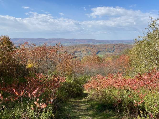 Mount Pisgah summit vista