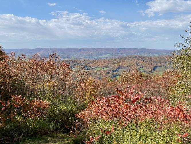 Mount Pisgah summit vista