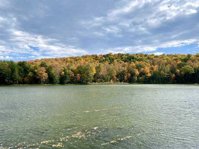 Stephen Foster Lake with foliage