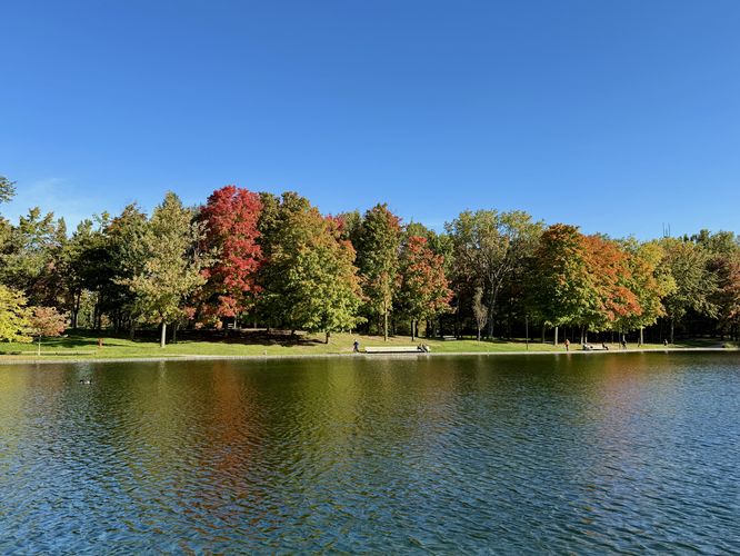 View of Beaver Lake (Lac aux Castors) with foliage