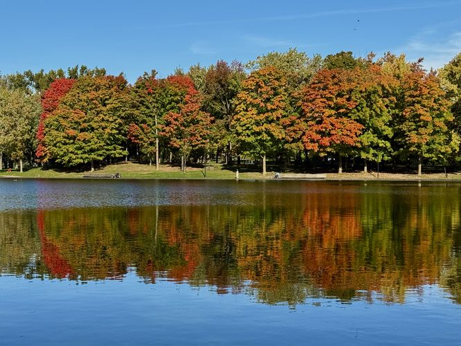 Autumn foliage reflection on Beaver Lake (Lac aux Castors)