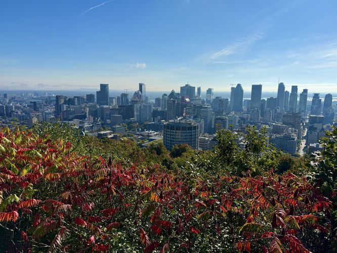 Default image for Mount Royal Traverse, a 2.9-mile trail in Montréal, QC (CA)
